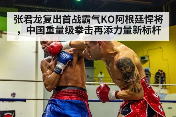 boxer knockout punch